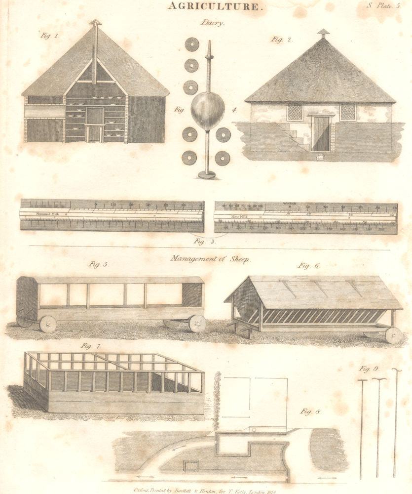 FARMING. Agriculture. dairy management of sheep. (Oxford Encyclopaedia) 1830